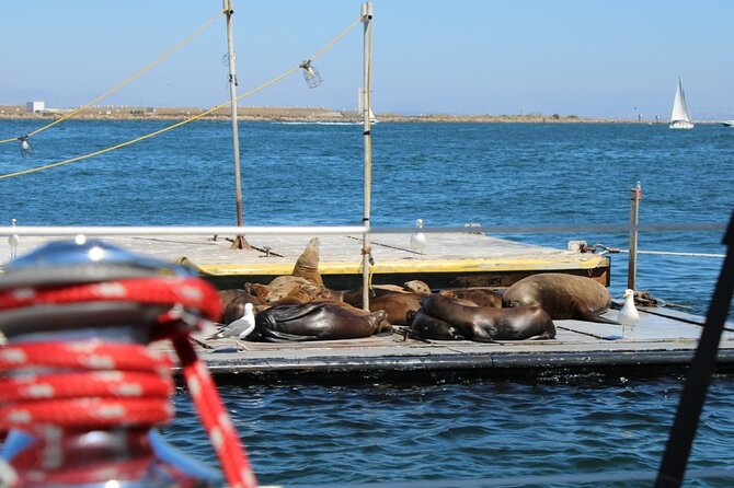 San Diego Private Morning Sail up to 12 guests - San Diego private sail to Point Loma: the big idea