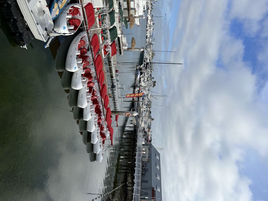 San Diego: San Diego Bay Dog-Friendly Eco Pedal Boat Rentals - Harbor Island and the Wildlife Moment