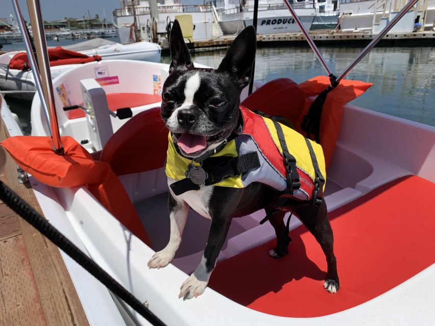 San Diego: San Diego Bay Dog-Friendly Eco Pedal Boat Rentals - Liberty Station: A Scenic Finish Back Toward Downtown