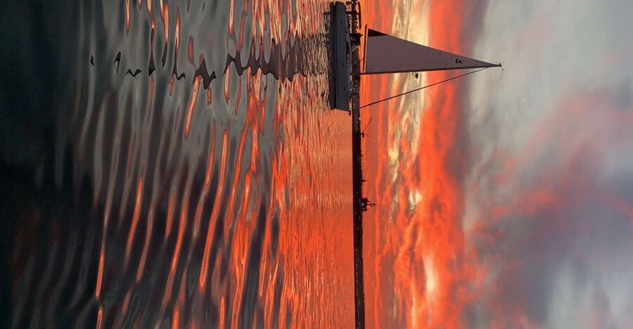San Diego: San Diego Bay Sunset & Daytime Sailing Experience - Key takeaways before you board