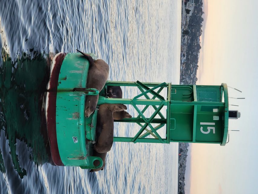 San Diego: San Diego Bay Sunset & Daytime Sailing Experience - Should You Book San Diego Bay Sunset & Daytime Sailing?