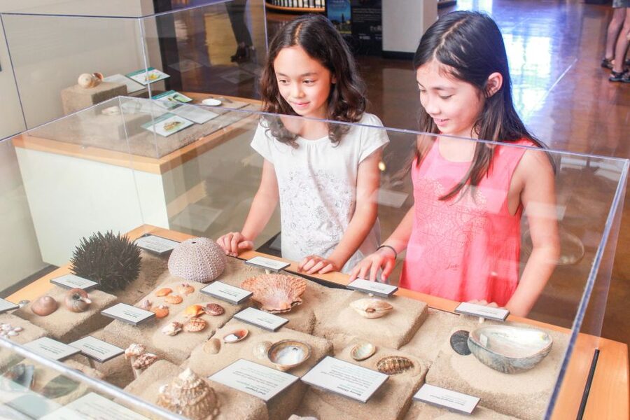 San Diego: San Diego Natural History Museum Ticket - Special exhibits that connect conservation, Baja, and citizen science