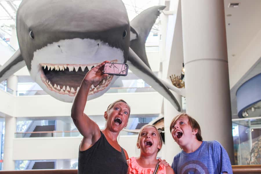 San Diego: San Diego Natural History Museum Ticket - Ticket value at about $12: what you actually get