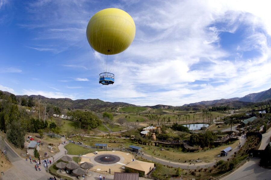 San Diego: San Diego Zoo Safari Park 1-Day Ticket - Key Things I’d Put on Your Safari To-Do List
