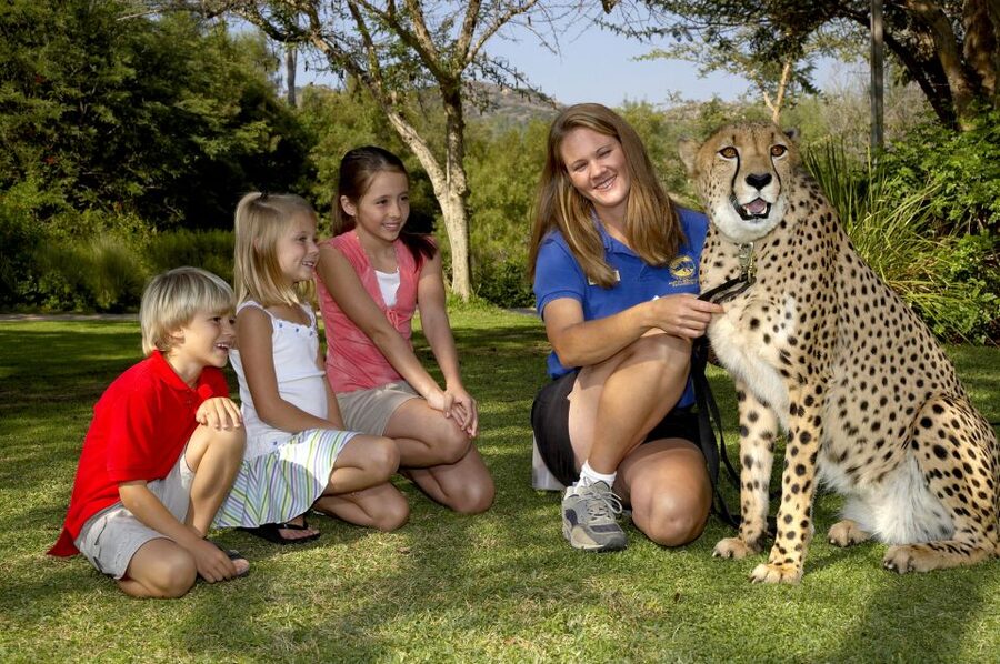 San Diego: San Diego Zoo Safari Park 1-Day Ticket - How the San Diego Zoo Safari Park Ticket Works in Real Life