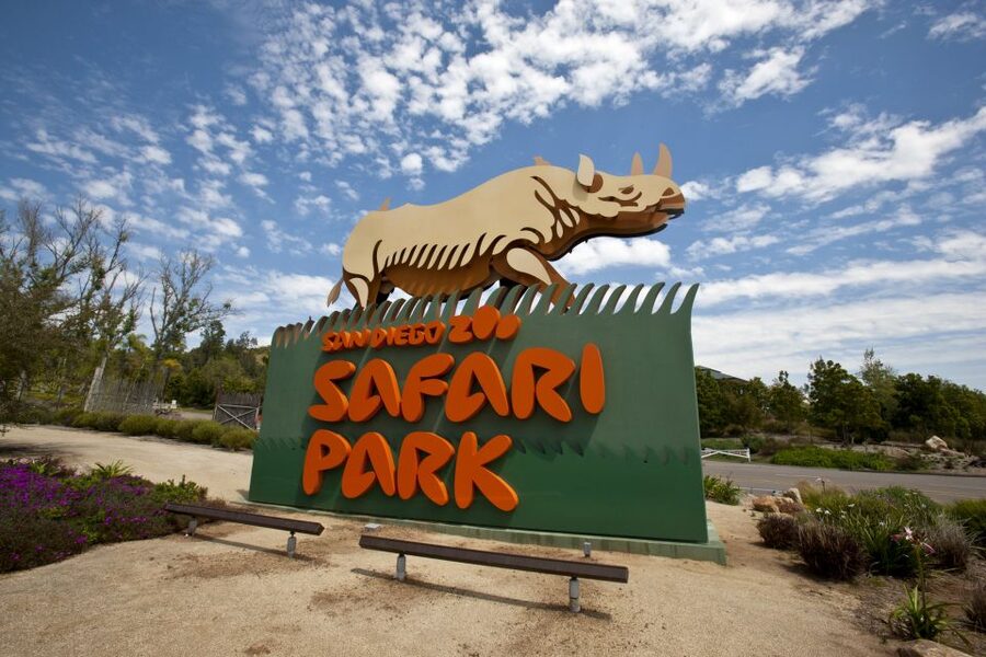 San Diego: San Diego Zoo Safari Park 1-Day Ticket - Africa Tram Safari: The Best Shortcut Through a Very Big Park