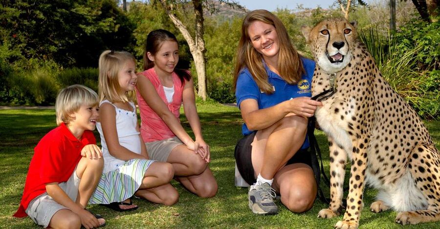 San Diego: San Diego Zoo Safari Park 1-Day Ticket - Elephant Overlook: The Aerial Walkway Moment