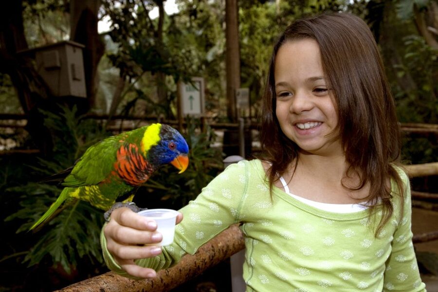 San Diego: San Diego Zoo Safari Park 1-Day Ticket - Wings of the World Aviary and Frequent Flyers: A Full Bird-Watching Block