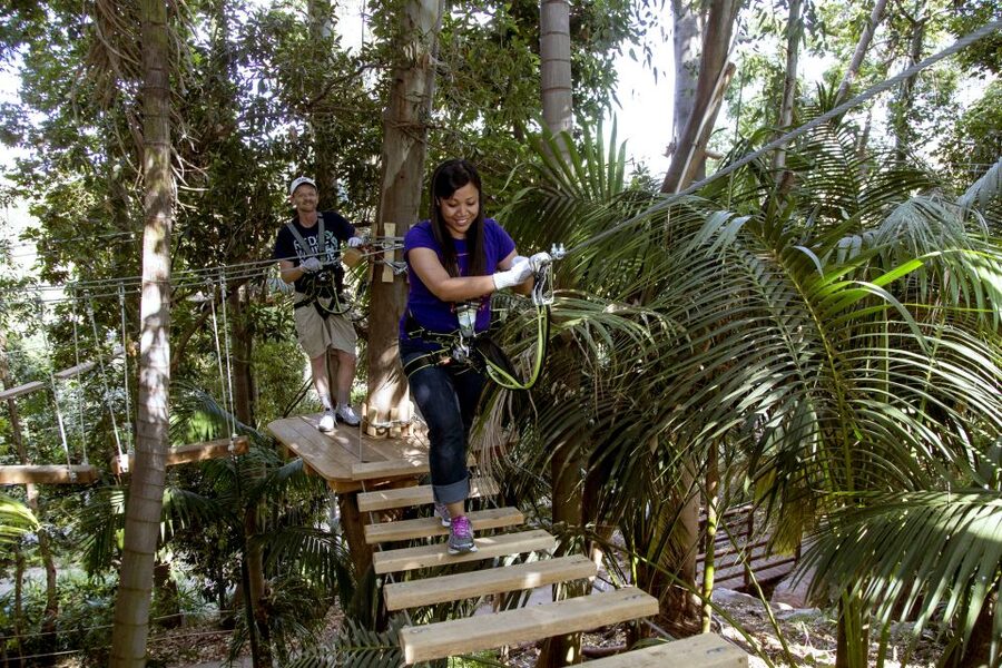 San Diego: San Diego Zoo Safari Park 1-Day Ticket - Condor Ridge: North American Habitats and California Condor Focus