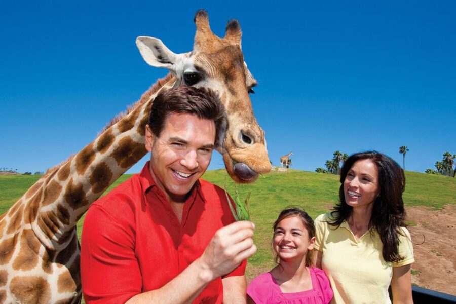San Diego: San Diego Zoo Safari Park 1-Day Ticket - Getting There: Meeting Point and the Arrival Plan That Saves Time