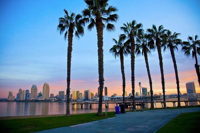 San Diego Scenic Tour - La Jolla Cove: Sea Lions, Pelicans, and the Right Amount of Time