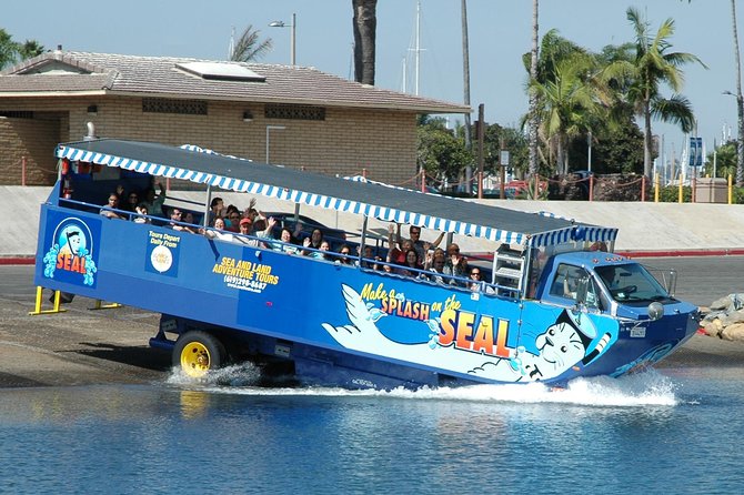 San Diego Shore Excursion: San Diego Seal Tour - Key points before you go