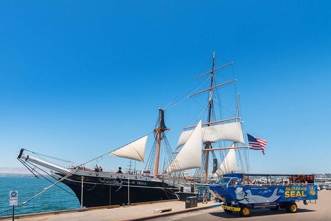 San Diego Shore Excursion: San Diego Seal Tour - What You’ll Learn: Military and Local Detail Without Being a Lecture