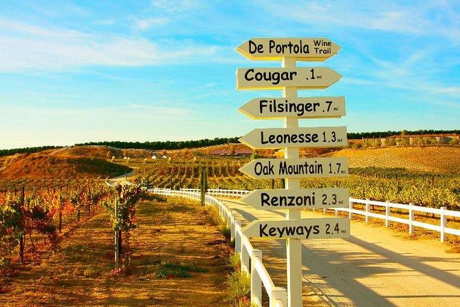 San Diego to Temecula: Wine Country Tour & Historic Old Town - Old Town Temecula: an hour for walking, shopping, and quick local flavor