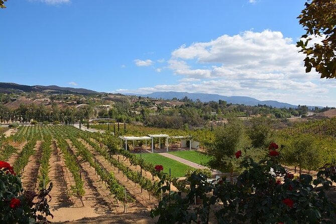 San Diego to Temecula: Wine Country Tour & Historic Old Town - Callaway Vineyard and Winery: a casual tasting with sunset odds