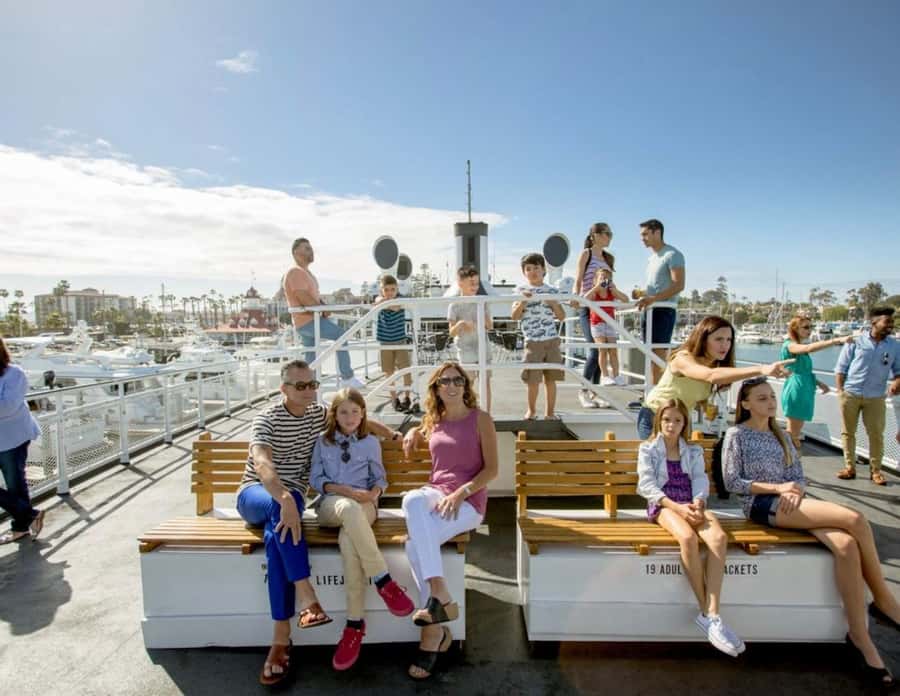 San Diego: Whale and Dolphin Watching Cruise - What You’ll Spot Beyond Whales: Dolphins, Sea Lions, Sunfish, and Birds