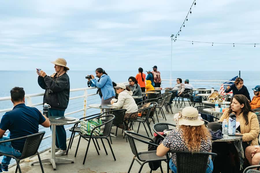 San Diego: Whale and Dolphin Watching Cruise - The Natural History Museum Narration: Why It Changes the Cruise
