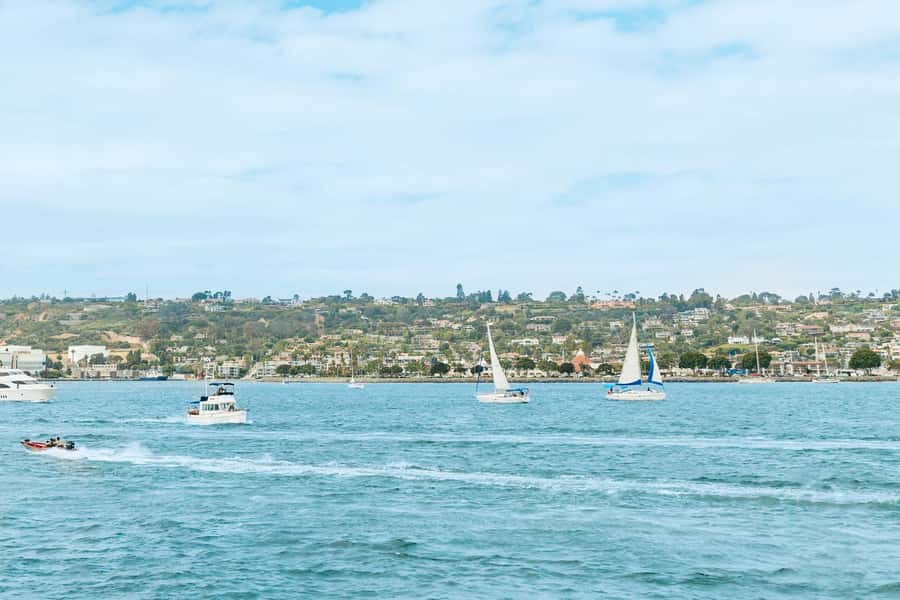 San Diego: Whale and Dolphin Watching Cruise - Boat Experience: Timing, Seating, and How to Stay Comfortable for 3.5–4 Hours