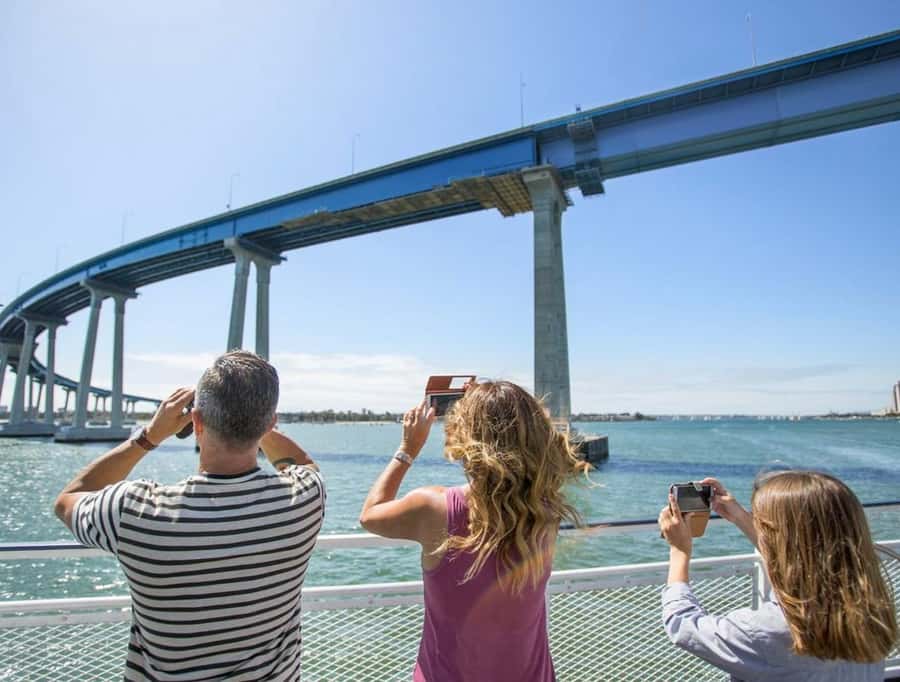 San Diego: Whale and Dolphin Watching Cruise - The Value Question: Is $77 Worth It for Whales and Dolphins?