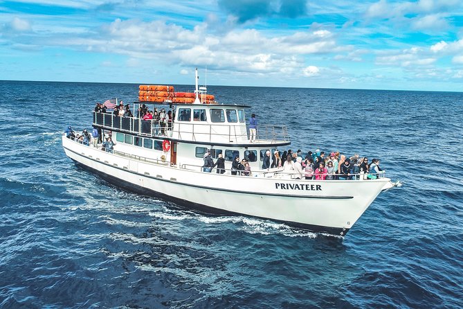 San Diego Whale Watching & Dolphin Cruise - Who This Cruise Fits Best (and Who Should Consider a Different Plan)
