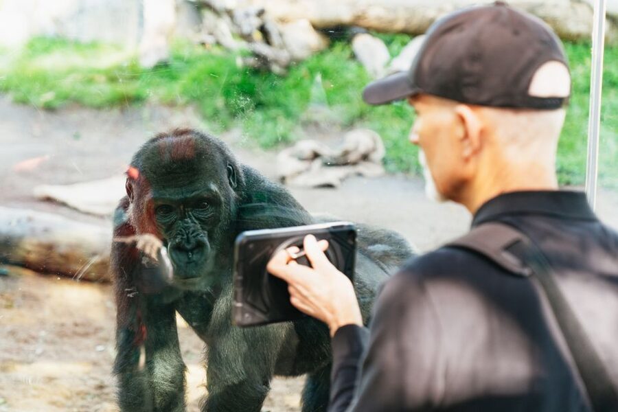 San Diego Zoo: 1-Day Admission Ticket - Elephant Odyssey: 7.5 Acres of Past-and-Present Animal Storytelling