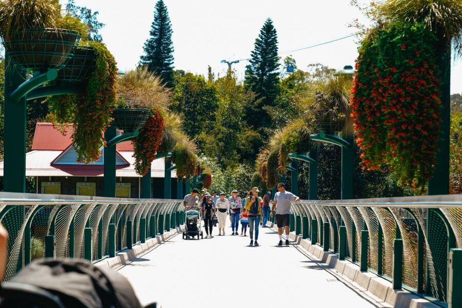 San Diego Zoo: 1-Day Admission Ticket - Skyfari Aerial Tram: The Best Time to Ride Is When Your Legs Ask