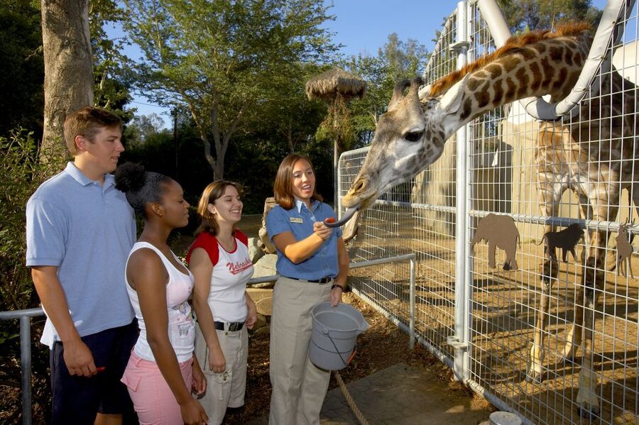 San Diego Zoo: 1-Day Admission Ticket - Galápagos Tortoises at Discovery Outpost: A Calm Start That Feels Different