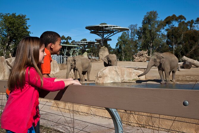 San Diego Zoo 1-Day Pass: Any Day Ticket - Price and Value Check for a $78 1-Day Zoo Pass