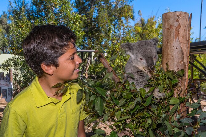 San Diego Zoo 1-Day Pass: Any Day Ticket - Animal Neighborhoods You’ll Want to Prioritize