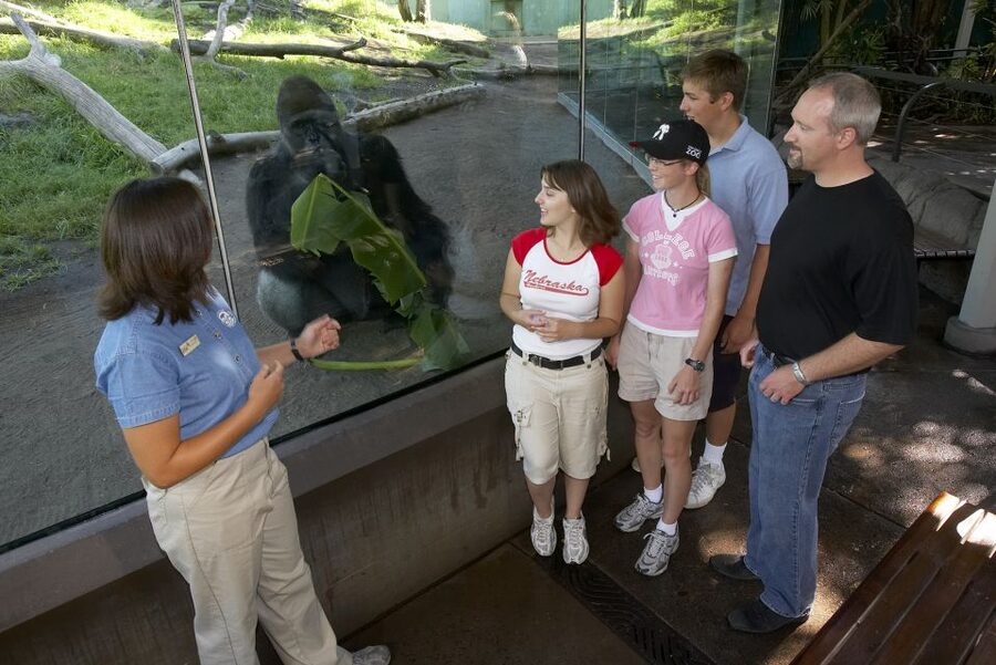 San Diego Zoo and Safari Park: 2-Day Entry Ticket - Key things to know before you go