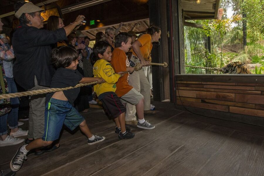 San Diego Zoo and Safari Park: 2-Day Entry Ticket - Cheetah Run, Children’s Zoo, and shows: how to structure your time
