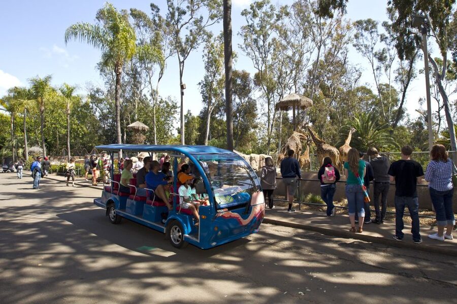 San Diego Zoo and Safari Park: 2-Day Entry Ticket - Skyfari tram, express bus, and the Zoo guided bus tour