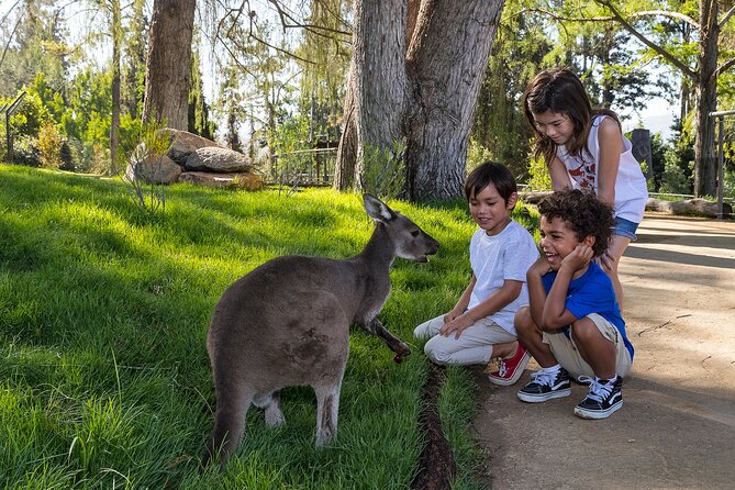 San Diego Zoo and Safari Park 2-Visit Pass Ticket - Zoo Day at Balboa Park: From Elephant Odyssey to Skyfari Views