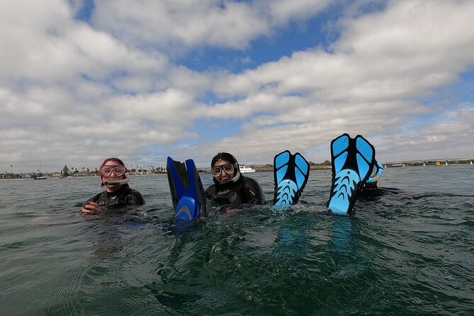 Snorkel San Diego's Mission Bay with a Marine Biologist - 60 Minutes in the Bay: What You’ll See Where It’s Easiest