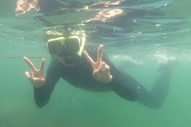 Snorkel San Diego's Mission Bay with a Marine Biologist - Weather Matters in San Diego More Than You Think