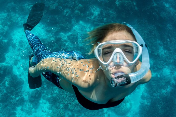 Snorkeling Adventure in La Jolla - Key things that make this La Jolla snorkeling special