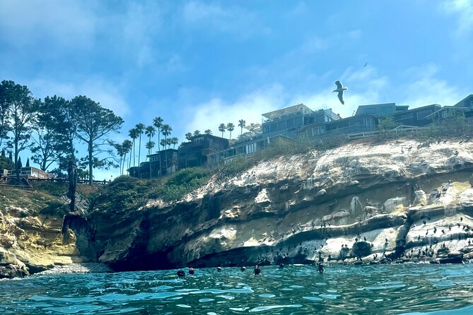 Snorkeling Adventure in La Jolla - The Water Plan: La Jolla Underwater Park to Reef Time