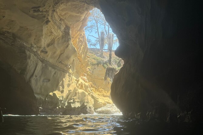 Snorkeling Adventure in La Jolla - How Conditions Affect Your Experience (Waves, Current, and Visibility)
