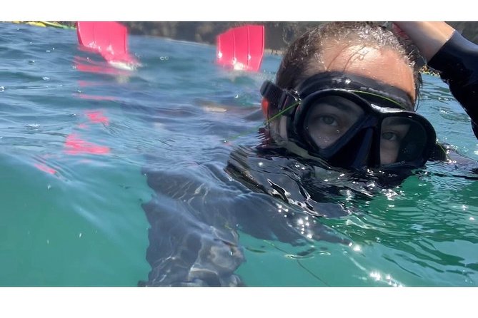 Snorkeling Adventure in La Jolla - Who Should Book This Snorkeling Adventure (Beginner-Friendly, With a Catch)