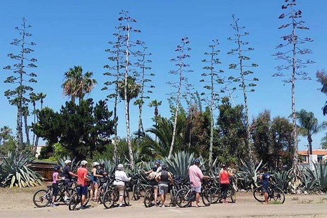 SoCal Riviera Electric Bike Tour of La Jolla and Mount Soledad - Children’s Pool: the human-and-seal handshake