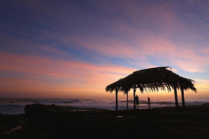 Sunset Electric Bike Tour of La Jolla - La Jolla Cove wrap-up: sea lion watching with a longer golden-hour stop