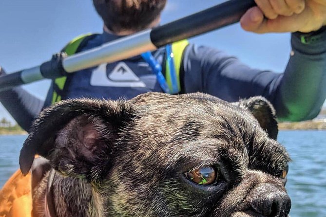 SUP Rental - Views and Practical Paddling Tips for Staying Upright