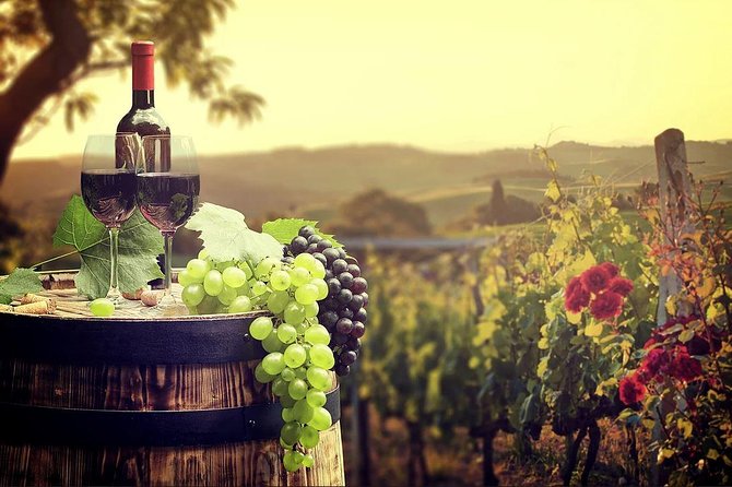 Temecula Wine Country Tour from San Diego - Temecula wine country day trip that doesn’t turn into a logistics test