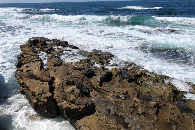 The La Jolla Tour - Guides matter: why Julia and Amy raise the whole experience