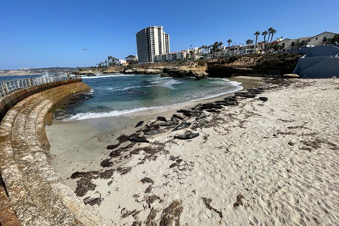 The Plunge E-Bike Tour in La Jolla - Riding the Pacific: Bird Rock and Windansea beach areas