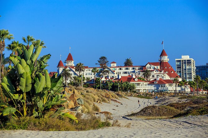 The Private Famous Coronado Tour - First Stop: Coronado Bridge and Chicano Park’s Big-Picture Context