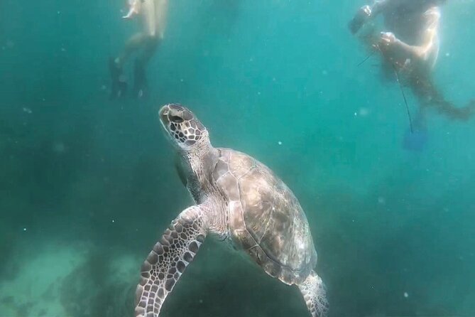 Two Hour Kayak and Snorkel Tour for Two in La Jolla - How weather and conditions shape your actual experience