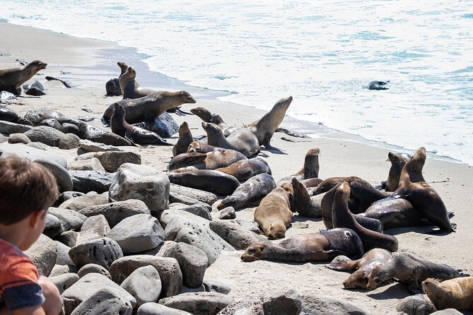 Ultimate La Jolla Self-Guided Driving & Walking Audio Tour Bundle - Price and value: why $24.99 per group can make sense
