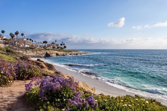 Ultimate La Jolla Self-Guided Driving & Walking Audio Tour Bundle - Final call: should you book it?