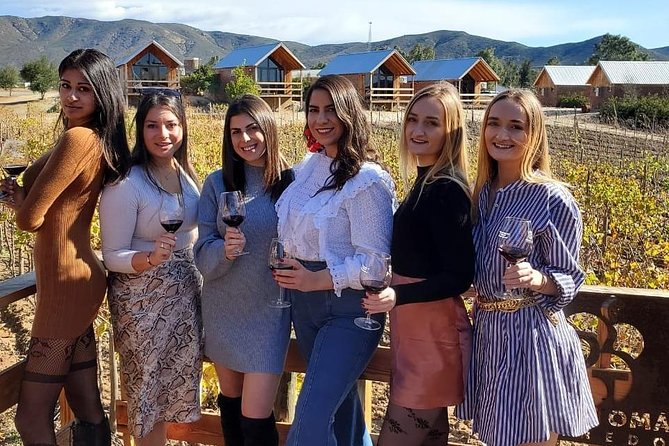 Valle de Guadalupe Wine Tour - Key highlights at a glance